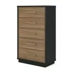 Kozmour Chest of Drawers - Image 4